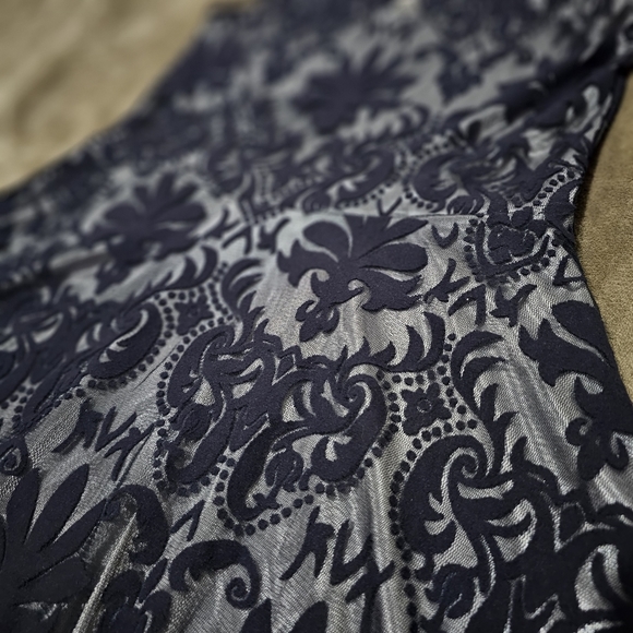 SALLY MILLER Victorian Vibes Dress Silky Silver Lining Deep Blue Sheer Velvet - Picture 11 of 17